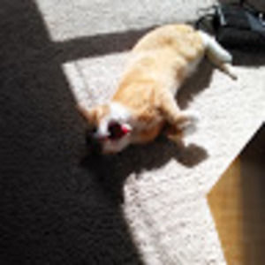 Meet your Posher, Pinchas